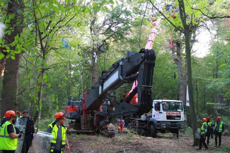Bei der Räumung der Baumhäuser kommt schweres Gerät zum Einsatz.