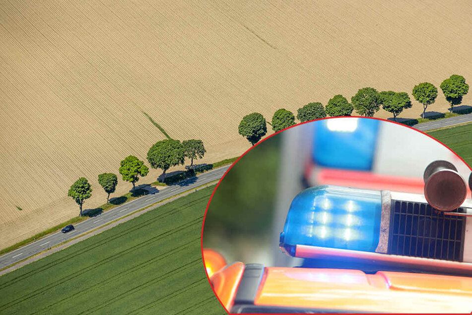 In einer Kurve verlor der 18-jährige Fahrer die Kontrolle. (Symbolbild)