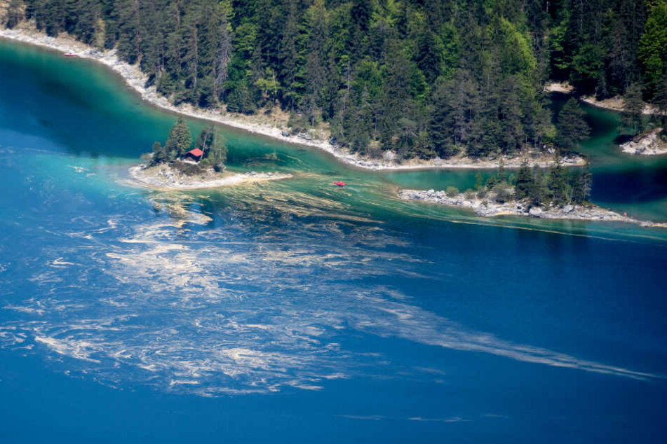 Ein Pollenteppich auf dem Eibsee: Ein System soll Allergiker über den Pollenflug informieren.