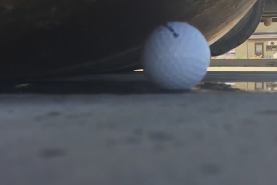 Golfball vs. Dampfwalze - wie geht dieses Duell wohl aus?