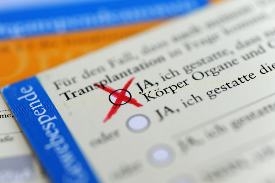 Warum Gibt Es So Wenige Organspender Tag24