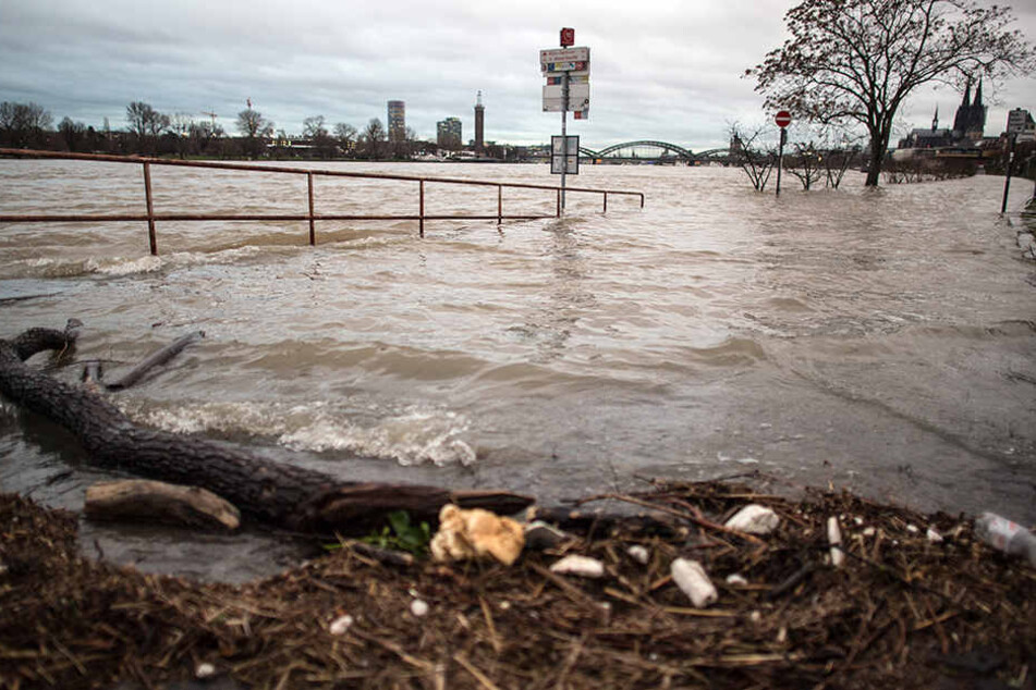 Der Rhein in Köln ist bereits über die Ufer getreten.