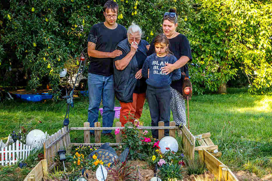 Florian (21, v.l.), Gisela (78), Chiara (8) und Odette Spranger (48) trauern
am Grab ihrer Hunde.