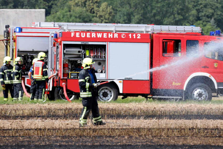 Insgesamt bekämpften circa 25 Feuerwehrleute aus Euba und Chemnitz den Feldbrand.