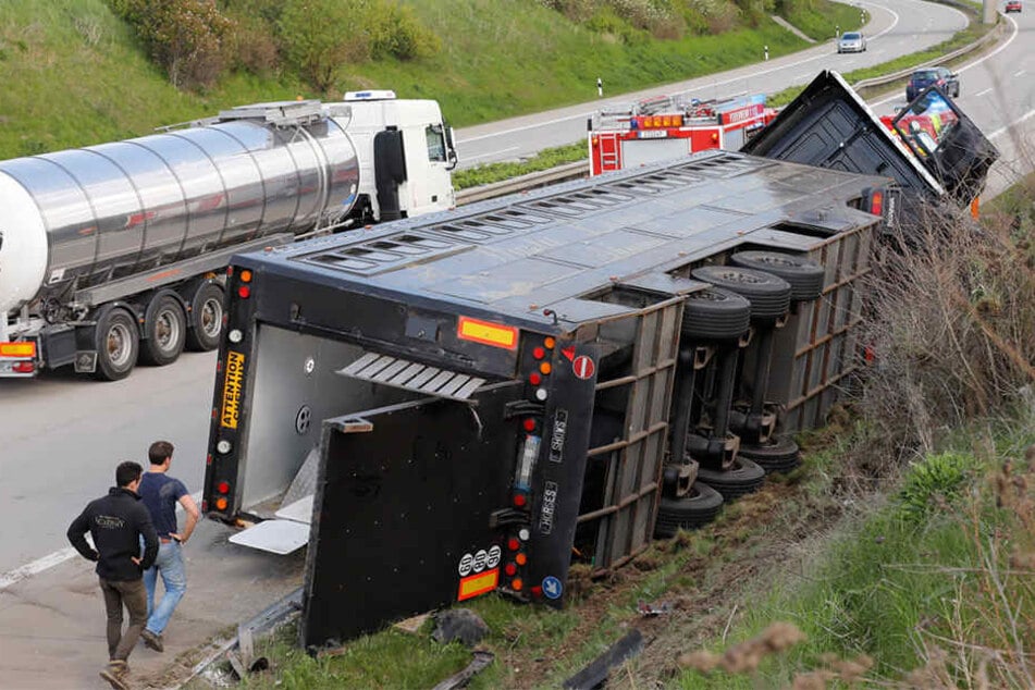 Der Lkw kippte um, mehrere Pferde wurden verletzt.