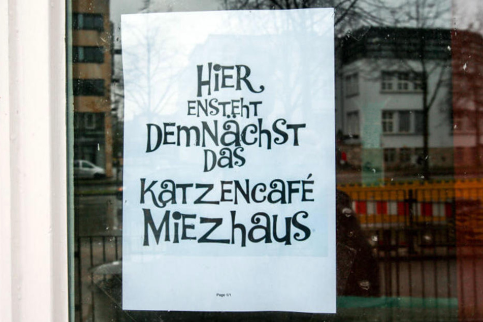 Dieses Schild hängt bereits im Fenster am Oberntorwall 10.
