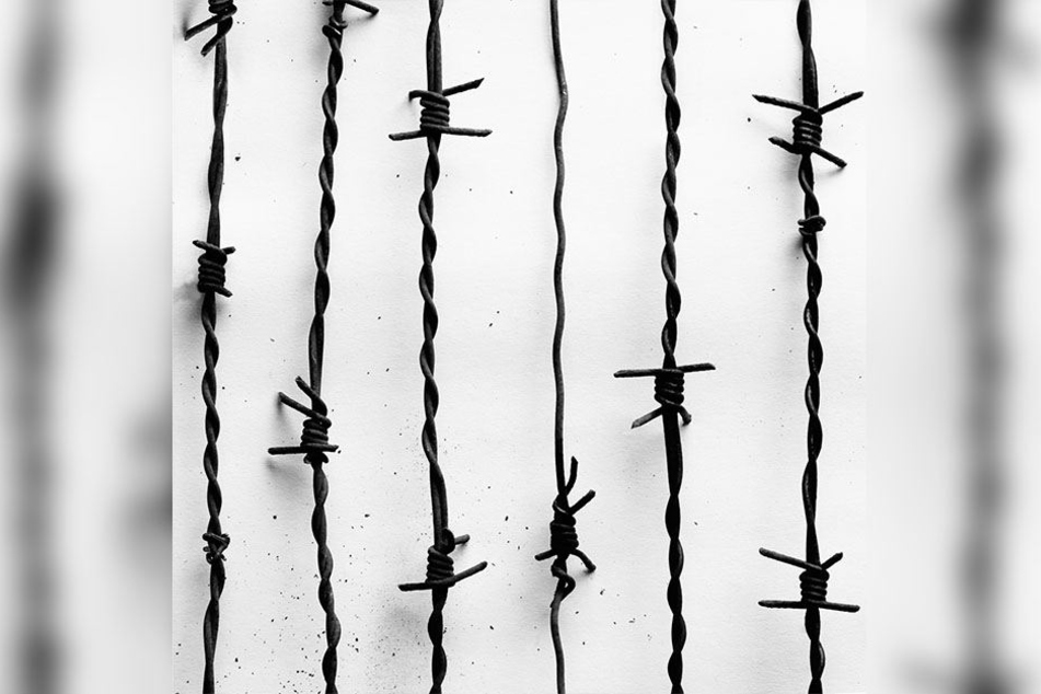 Das Album-Cover zu "lang lebe der tod" ist schlicht. Nur einige Stacheldrähte zieren es.