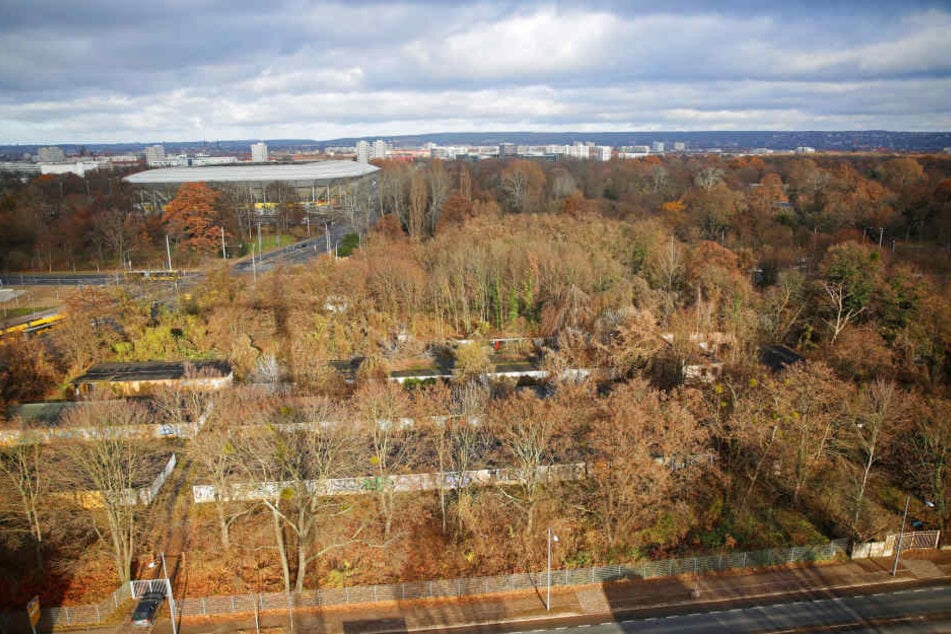 Die Fläche am Lénneplatz ist in den letzten Jahren stark verwildert.