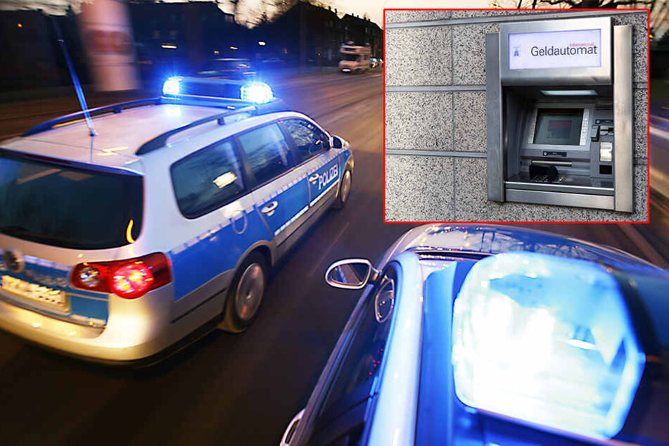 Die Polizei rückte mit Hund an, um die Täter zu finden.