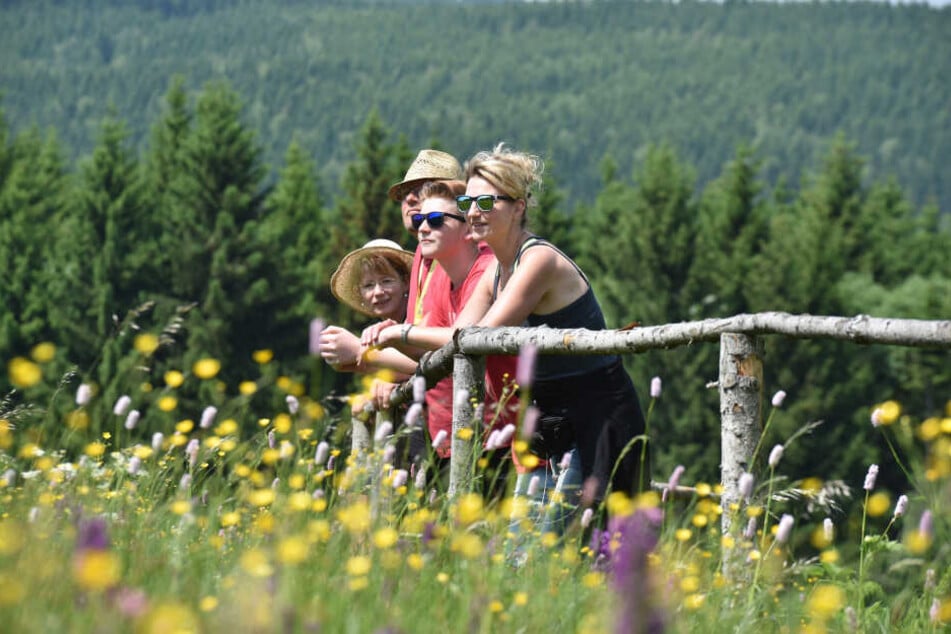 In der Region lässt sich auch hervorragend Wandern.