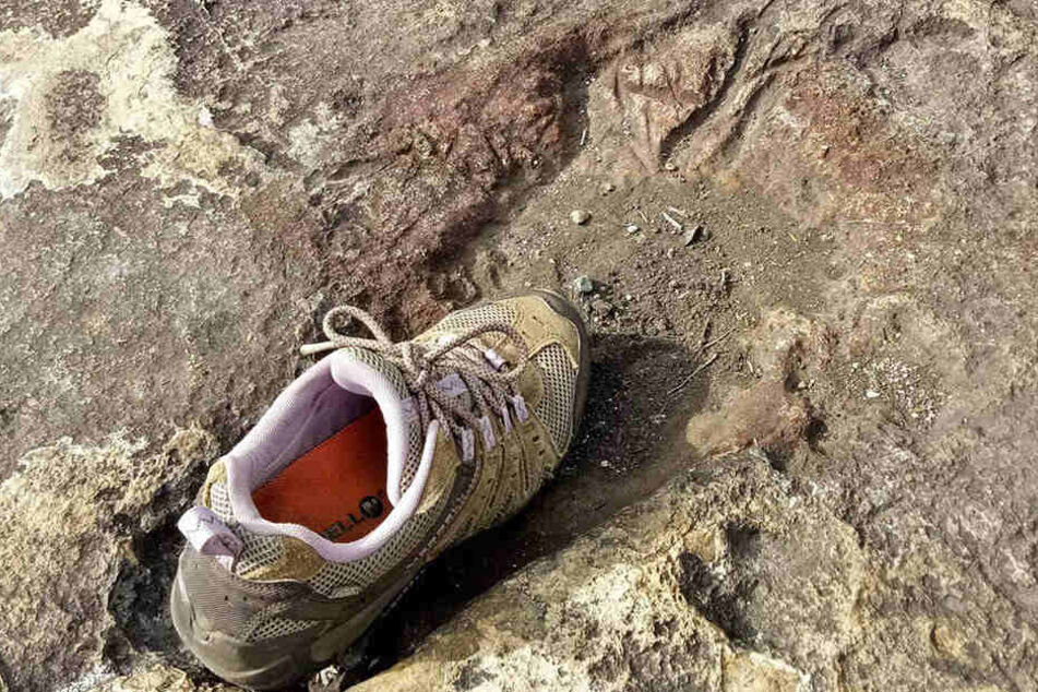 Ein Schuh in einem riesigen Fußabdruck.