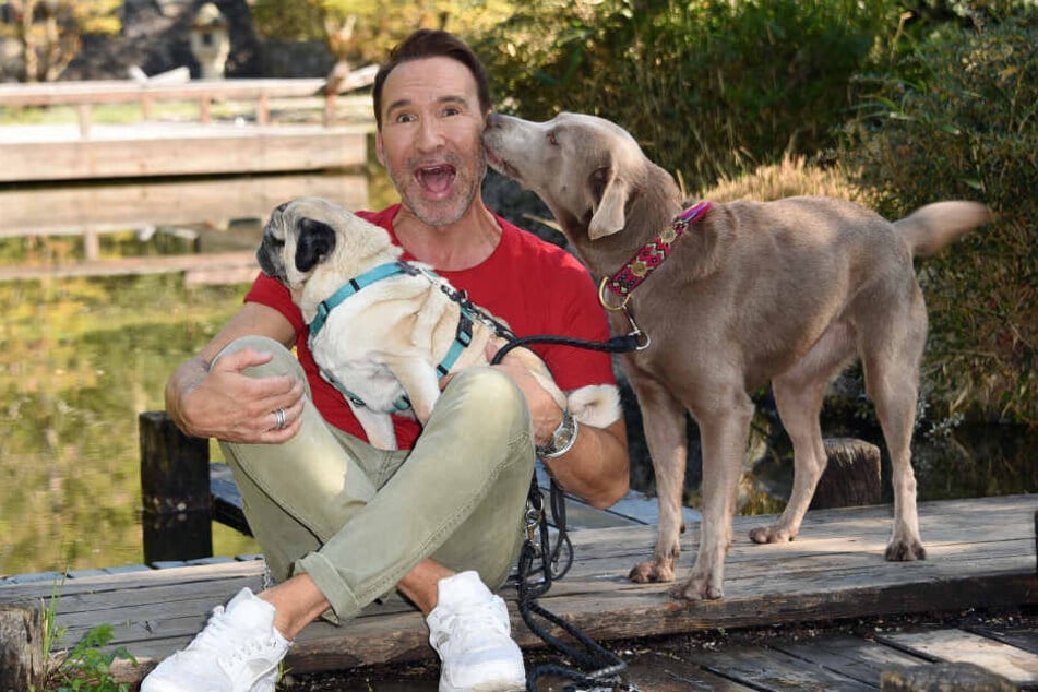 Der Moderator, Hundeliebhaber und Hundetrainer Jochen Bendel mit seinen Hunden Khaleesi (Labrador, r.) und Gizmo (Mops).