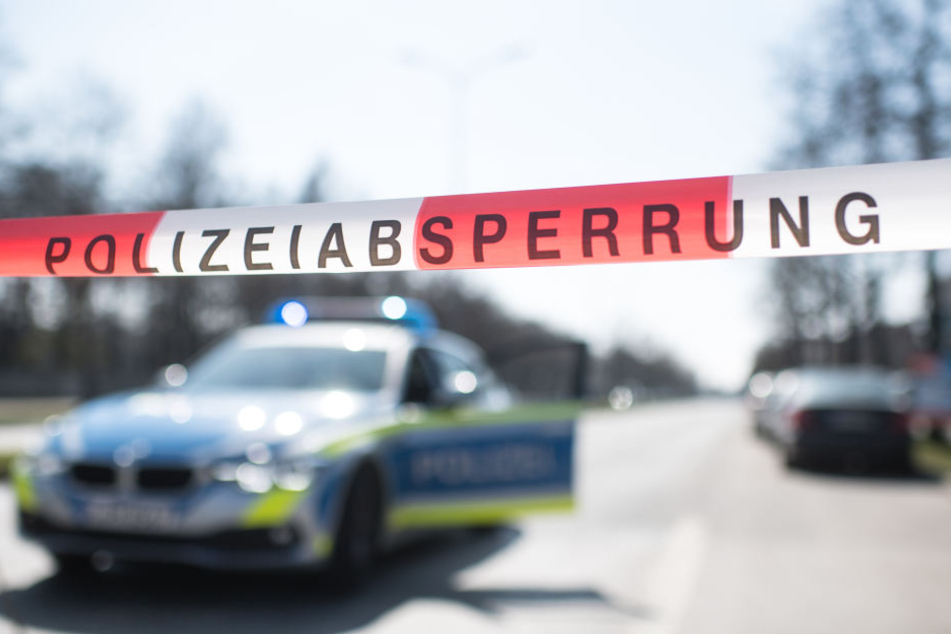 Nachdem sie mit ihrem Auto gegen mehrere Bäume gekracht waren, flüchteten die Insassen zu Fuß. (Symbolbild)