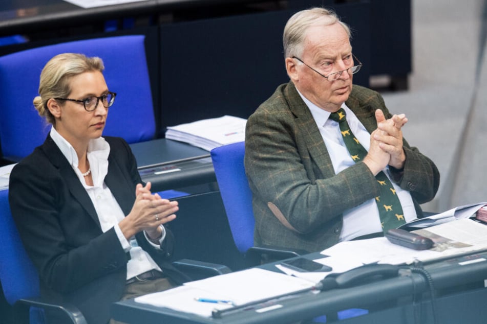 Alice Weidel (40) und Alexander Gauland (78) applaudieren bei einer Bundestags-Debatte. Ob sie die Statements des Grünen-Vorsitzenden Habeck auch begrüßen?