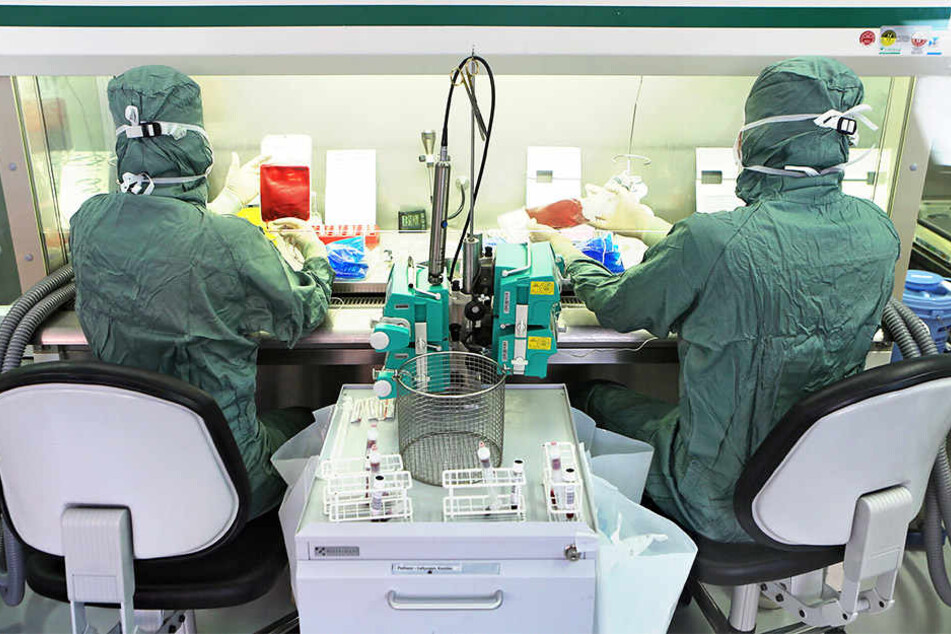 Forscher des Leipziger Unternehmens "Vita34" planen eine Kooperation mit der chinesischen "Avic Biology".