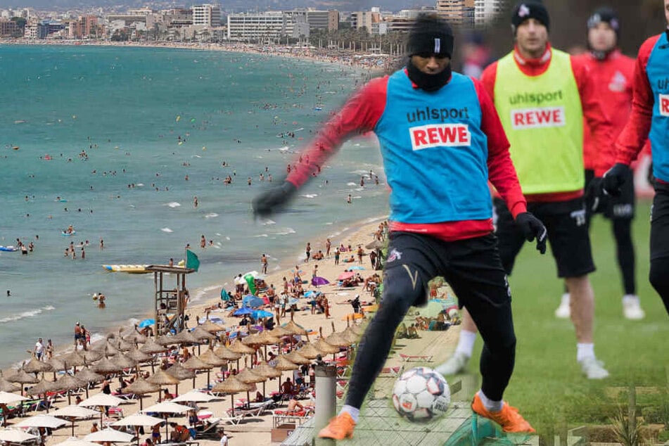 Die Kölner Spieler fliegen im Januar nach Mallorca ins Trainingslager. (Bildmontage)