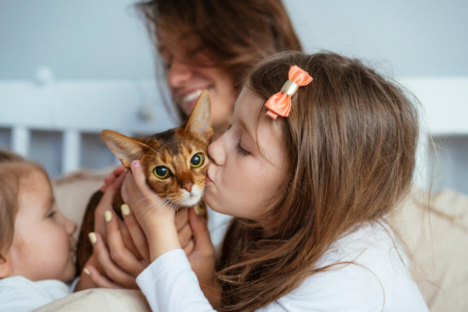 Das Leben mit Katzen ist für Kinder eine große Bereicherung.