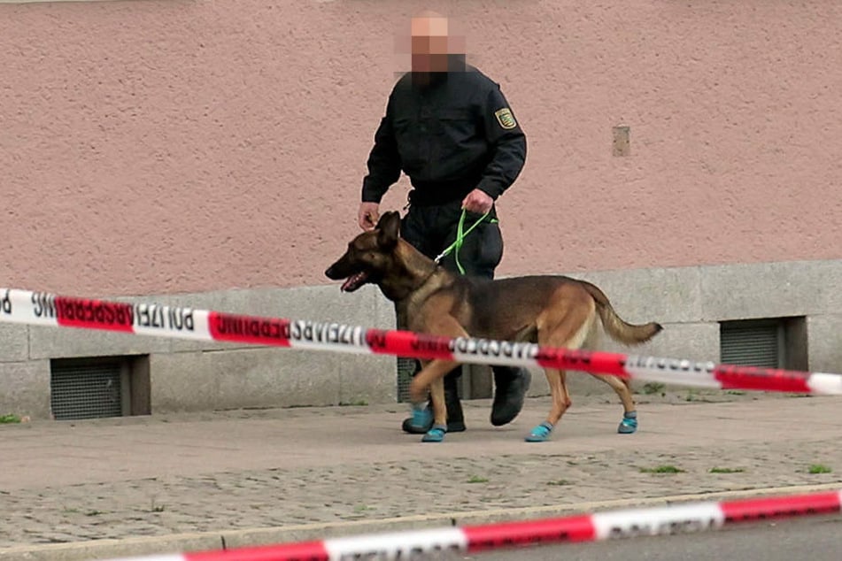 Ein Sprengstoffspürhund auf dem Weg zum Moritzhof.