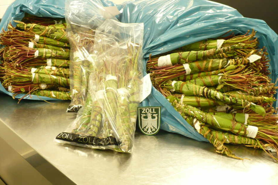 Zollbeamte haben 36 Kilogramm der Kaudroge beschlagnahmt.