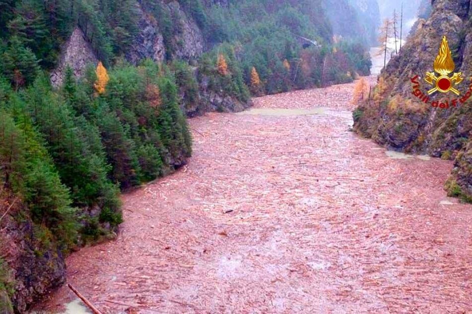 Vom Sturm umgerissene Bäume treiben im Fluss Piave.