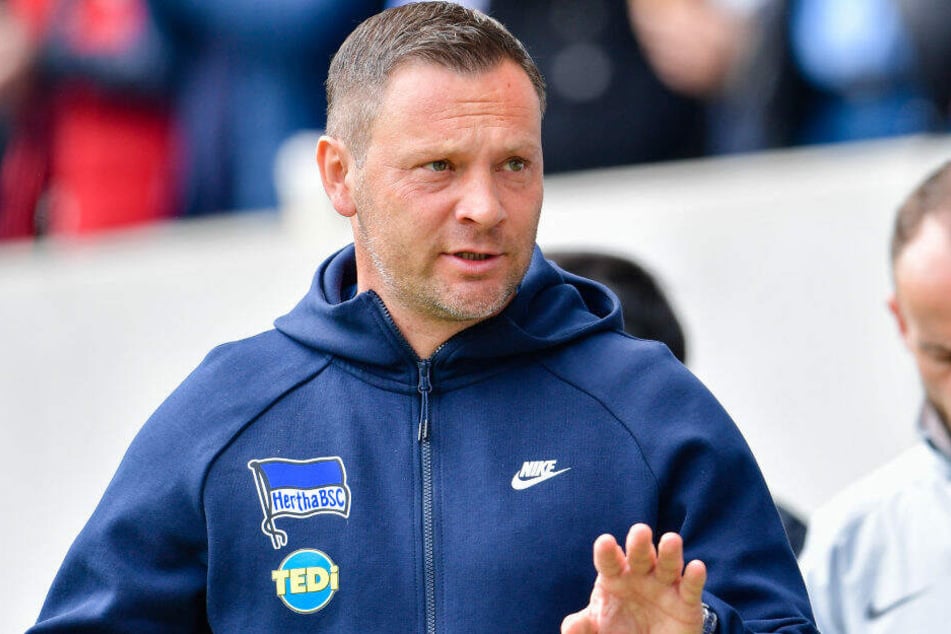 Pal Dardai wird ab Sommer nicht mehr Hertha BSC trainieren.