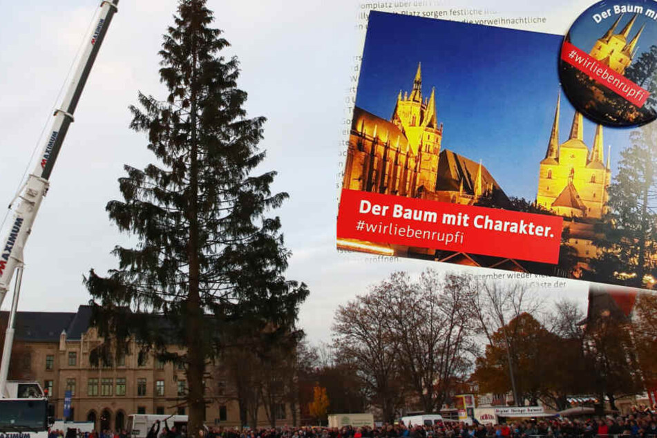 So wirklich schön ist "Rupfi" nicht - aber dafür wird es zum Star.