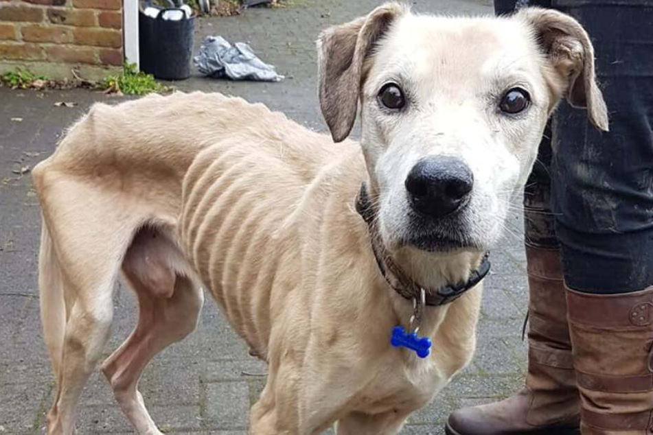 Casper hatte weder Fett noch Muskeln, als man ihn fand.