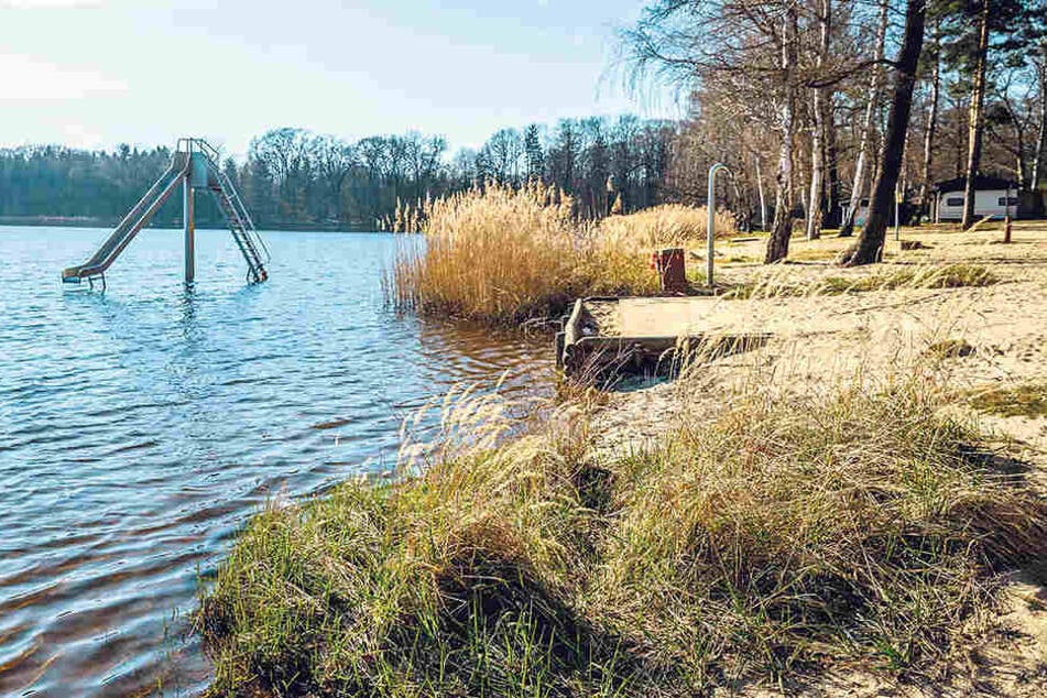 Baden erlaubt, campen verboten: Wegen seiner
idyllischen Lage ist der Brettmühlenteich ein
beliebtes Erholungszentrum 25 km nördlich
von Dresden.