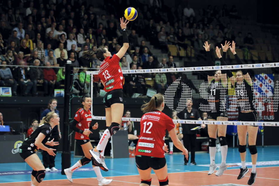 Der DSC in der Steengoed Arena von Maaseik