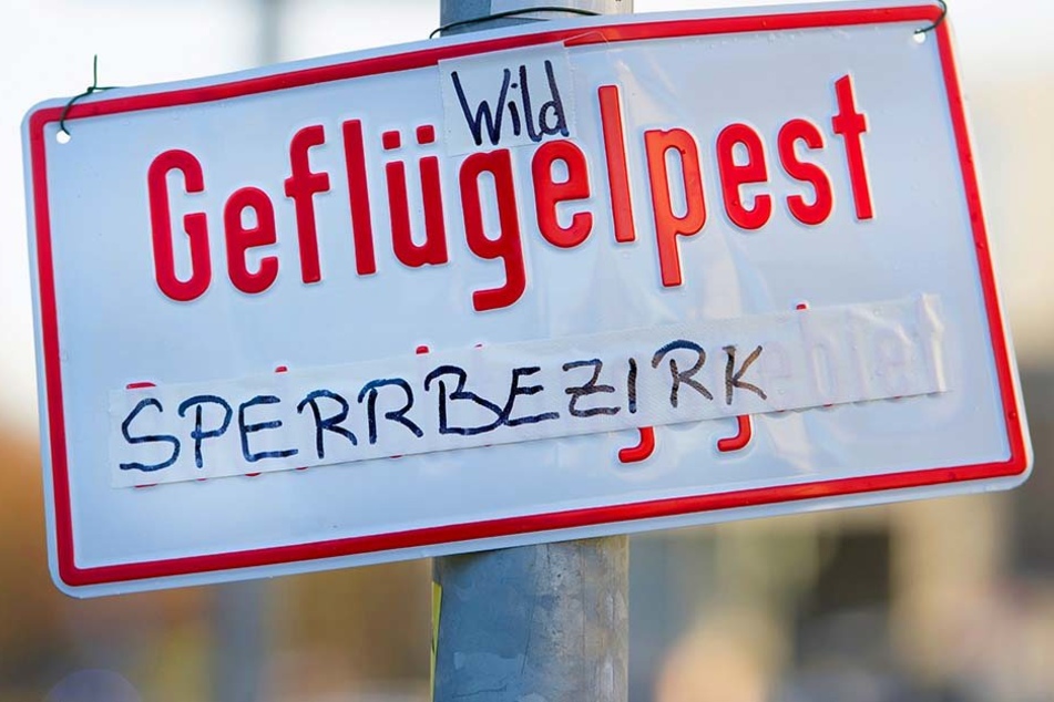 Die Schutzmaßnahmen werden weiter ausgeweitet.