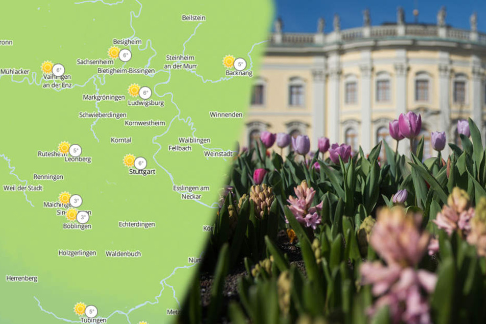 Am Wochenende sollen die Temperaturen auf bis zu 12 Grad steigen.