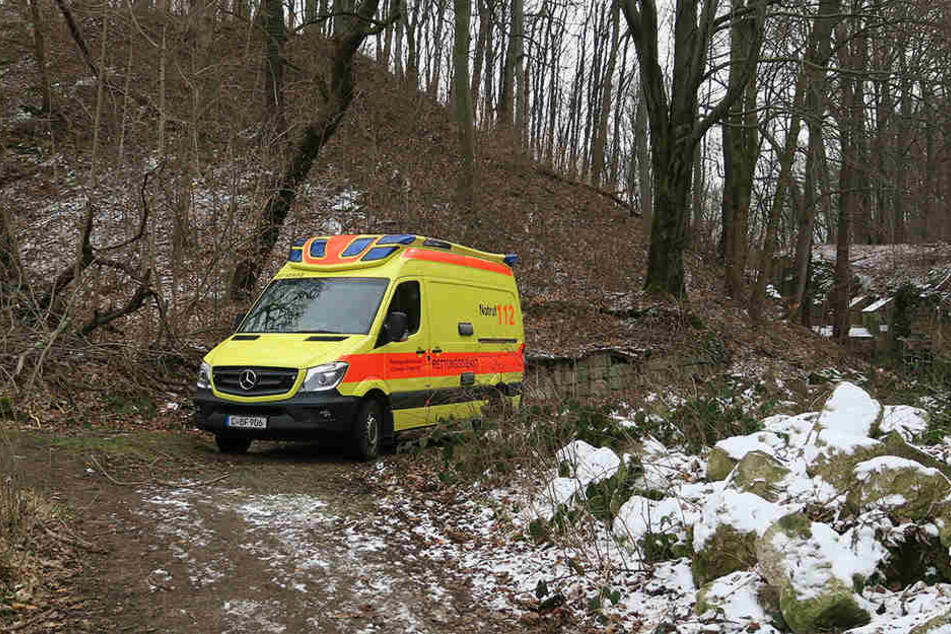 Der Rentner lag reglos in einem Gebüsch.