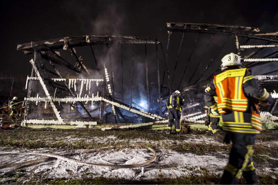 Von dem Gewächshaus blieb nur eine verkohlte Ruine übrig.