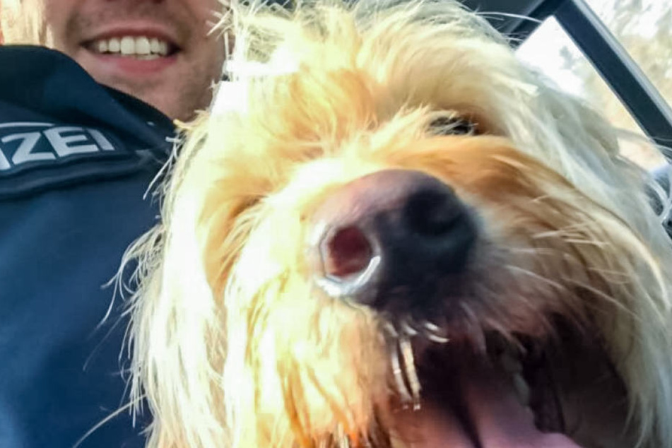 Erinnerung: Schnell noch ein Selfie mit dem Fundhund.