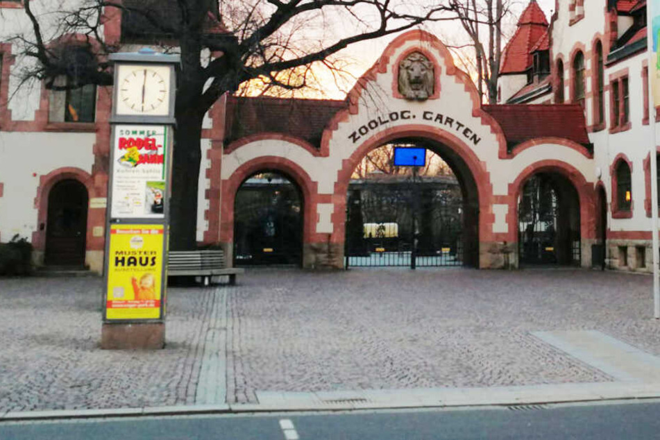 Parchen Uberfallt Rentner Am Zoo Leipzig Und Schlagt Ihm Von