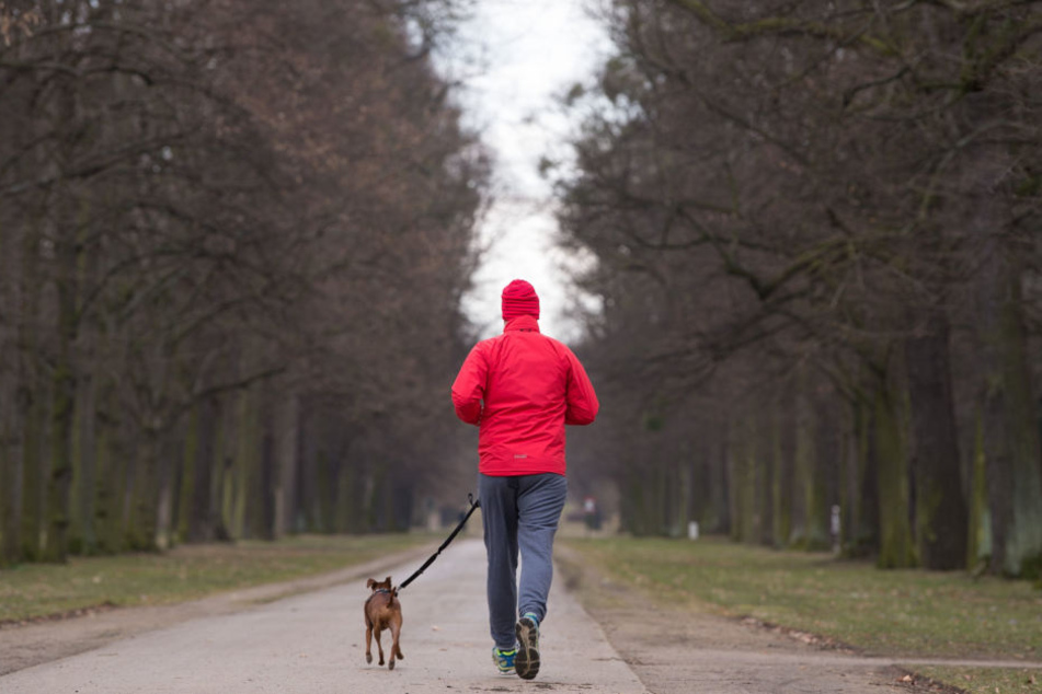 1,41 Millionen Euro spülen die Dresdner Hunde jährlich in die Stadtkasse.