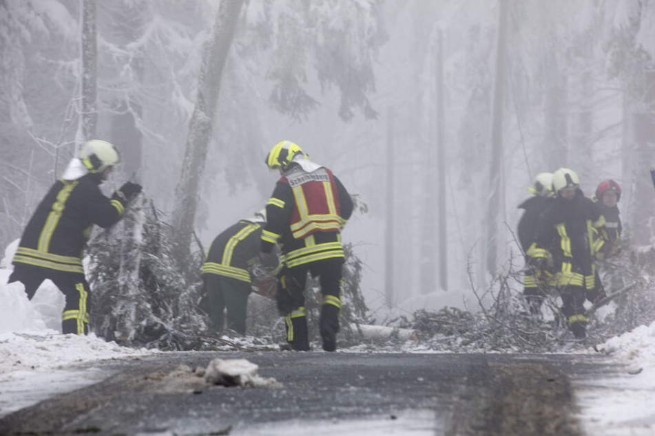 Die Feuerwehr beseitigt Schneebruch am Scheibenberg.