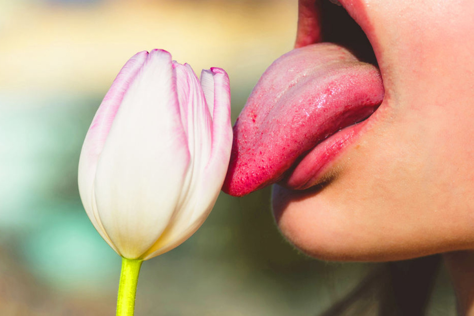 Zunge, Lippen, saugen, lutschen? Jeder Mann mag's anders.