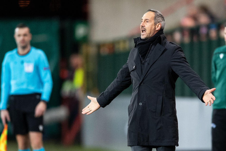 Eintracht Frankfurt-Coach Adi Hütter.