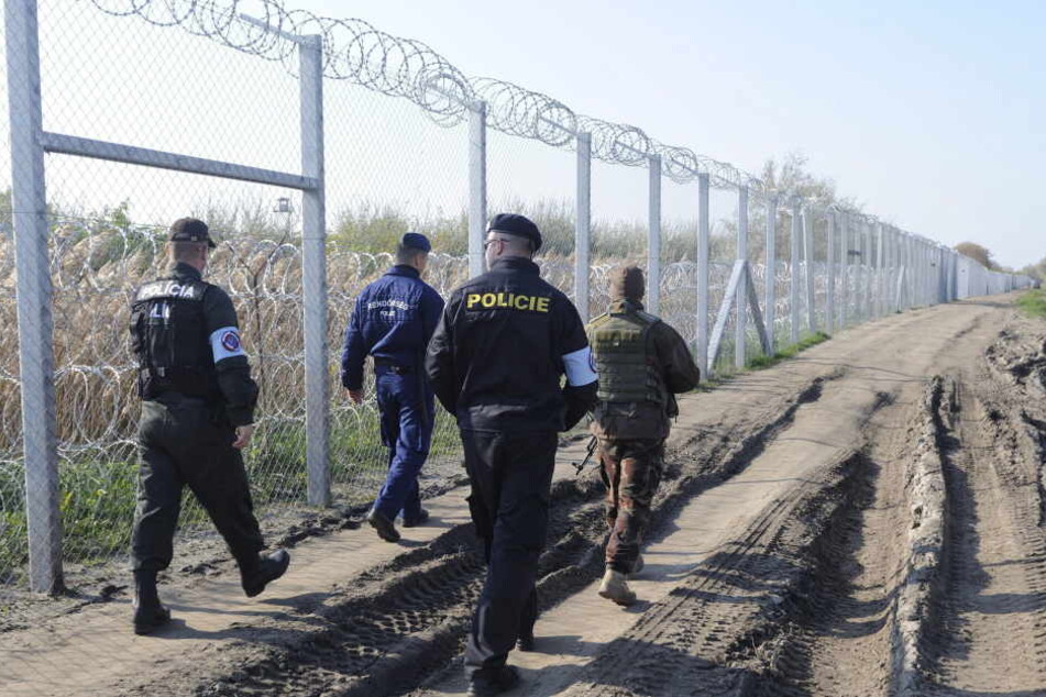 Gemeinsam patroullieren ein tschechischer Polizist, ein slovakischer Polizist, ein ungarischer Soldat und ein ungarischer Polizist an der Grenze von Ungarn und Serbien.