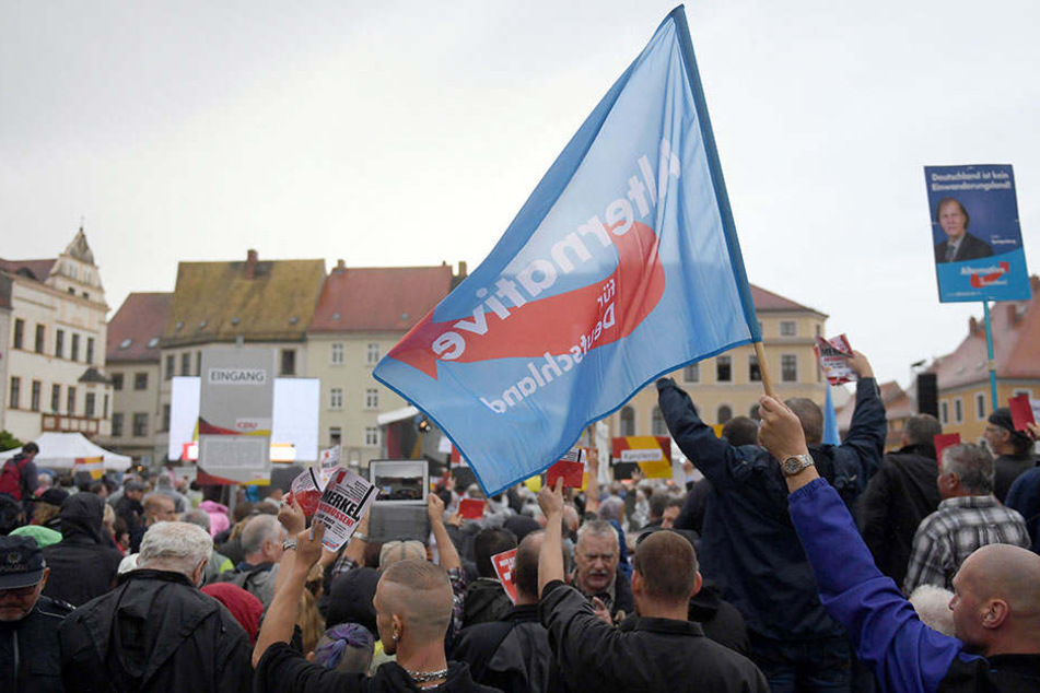 Bei einem Wahlkampfauftritt von Angela Merkel in Torgau waren auch zahlreiche AfD-Anhänger anwesend.