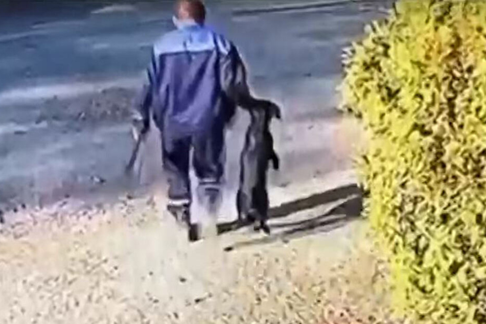 Der betäubte Hund starb wenig später.