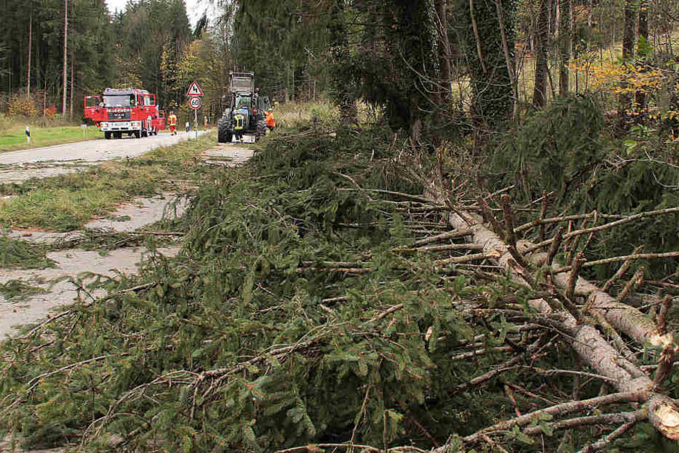 Sturm "Herwart" hat in Baden-Württemberg nicht so schlimm gewütet wie in anderen Teilen Deutschlands (im Bild: Arbeiten nahe Rohrdorf in Bayern).