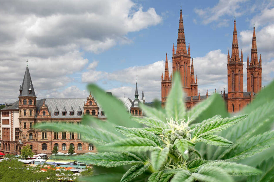 In Wiesbaden könnte es bald einen Cannabis-Club geben. (Fotomontage)