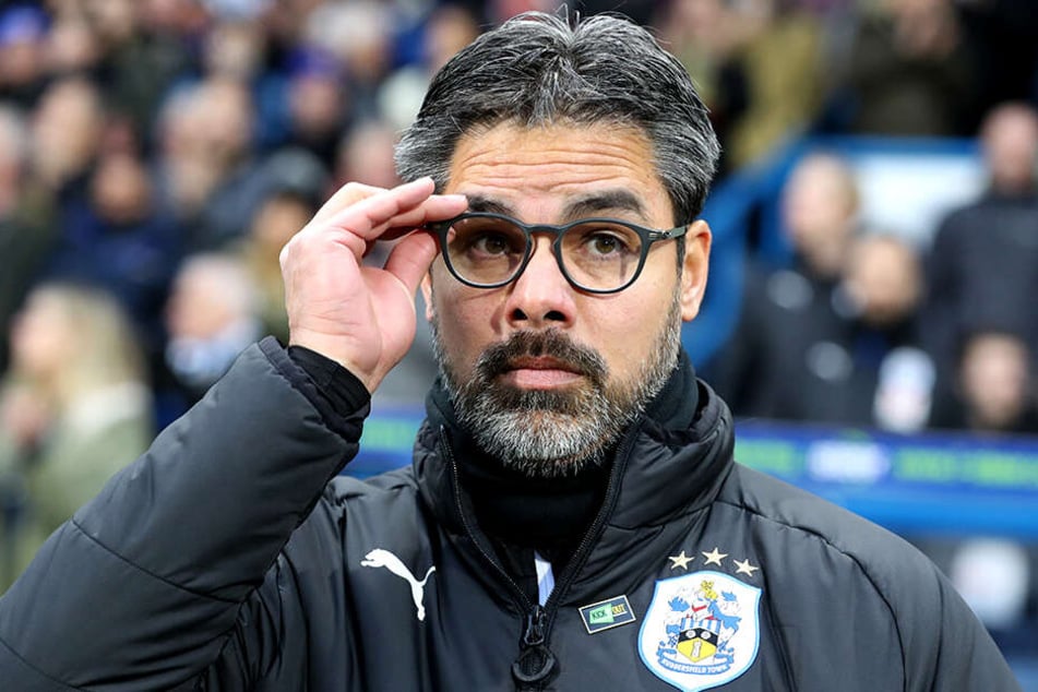 David Wagner wird neuer Trainer des FC Schalke 04.