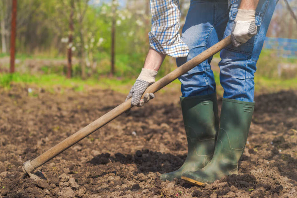 Bei der Gartenarbeit ging der 50-Jährige auf seinen Nachbarn los. (Symbolbild)