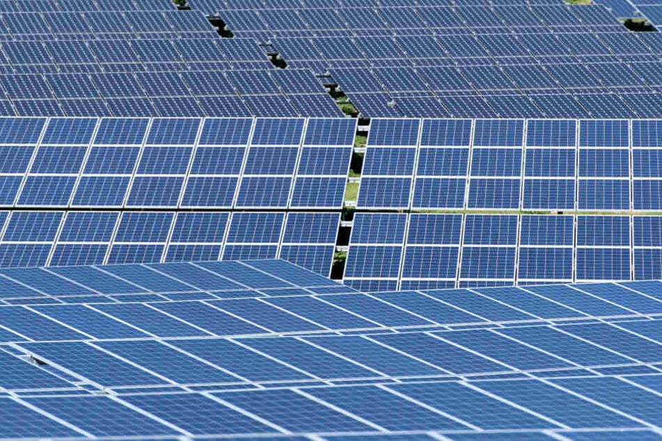 200 Solarmodule im Wert von etwa 14.000 Euro sind gestohlen worden (Symbolbild).