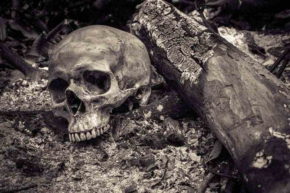 Die Leiche hat wohl seit fast zwei Jahren an dem Baum gelegen und wurde dort skelettiert (Symbolbild).