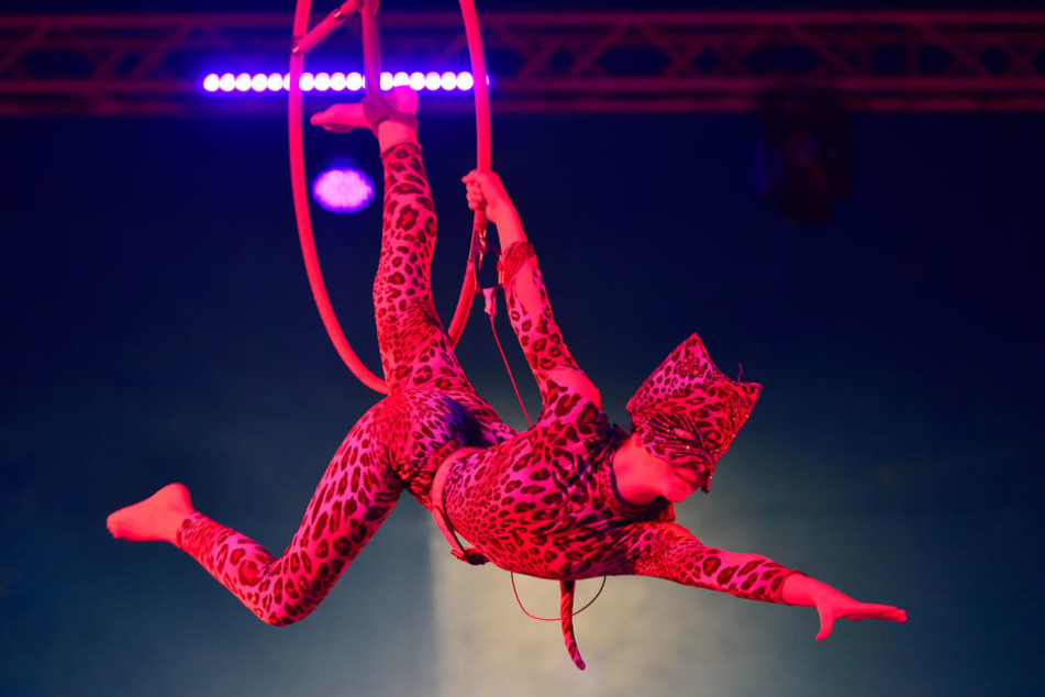 Artistik am Ring beim Chemnitzer Weihnachtscircus.