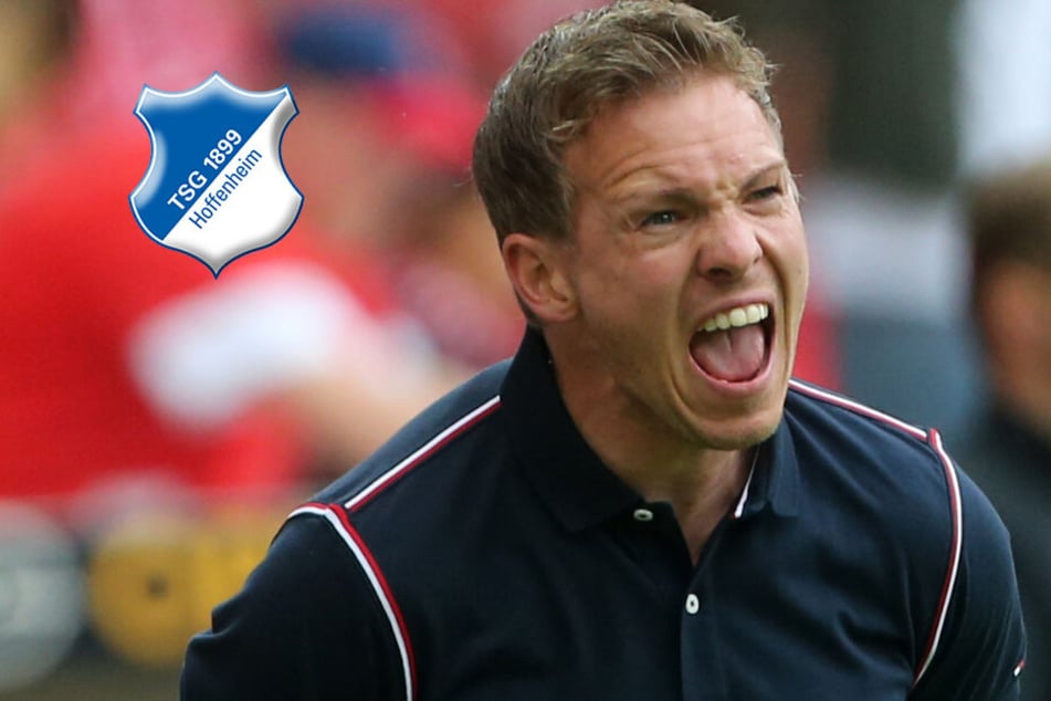 TSG 1899 Hoffenheim News zum Verein, Transfermarkt und ...